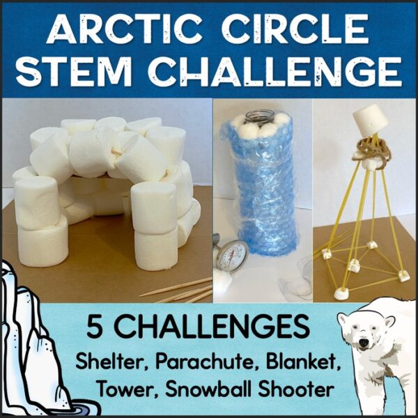 winter stem challenges